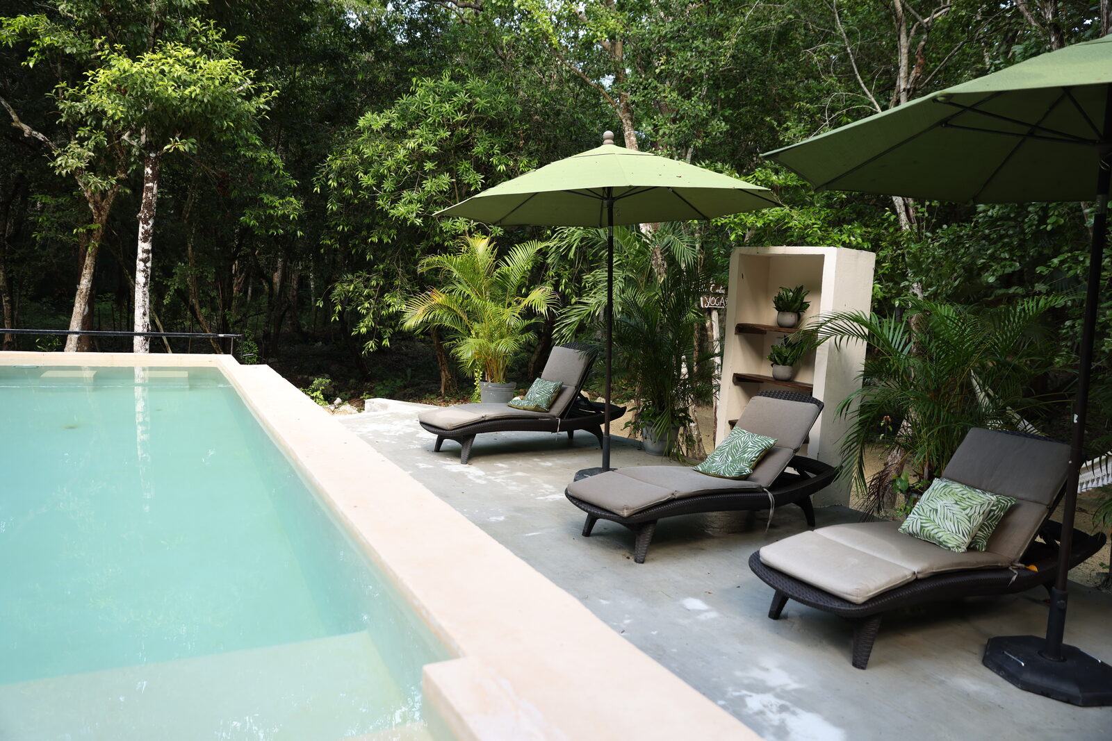 The pool tucked into the jungle